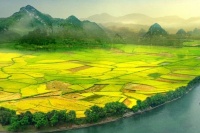 　临终一念瞋心，堕为毒虫身，再因一生的善行，得生入天界