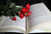 人生上半场肆意的人，下半场都输了