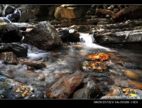 「专栏」任平生作品赏析：《涧水琴弦心境平》（仄起平收中华通韵）