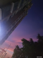 发呆的日子| 守候渴望