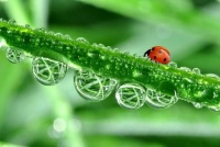 能够真正走进男人“内心”的女人，往往有这些特征