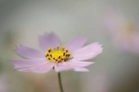 伴读 | 感恩生命里，所有温暖的相遇