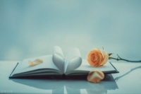 你最看不起的男人，其实最爱你