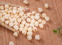 白莲的形态特征-白莲的花