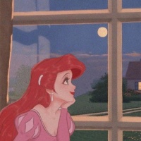 《有哪句话你喜欢了很久? 》