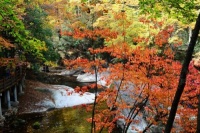 人生之路只能靠自己去走！如果你还想着依赖他人，就进来看看吧…