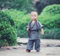 晌午的泪脂，也粘不住你的顽皮