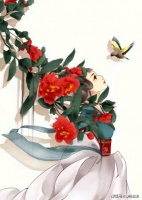 爱情中，给予爱你的人，多一点理解