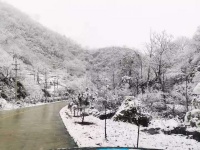 雪，万物寂静的天籁之音！