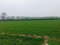 梁纪委：兵者诡道也，正奇交转铸就千秋伟业