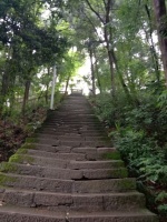 童年的变化有美好也有遗憾