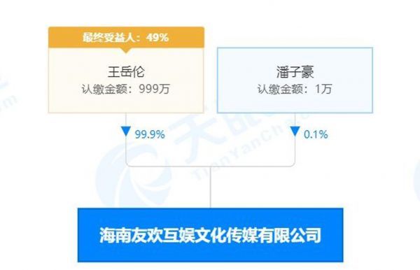 王岳伦成李湘关联公司最大股东