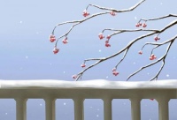 经典音乐：一曲《秘密花园》，开启一周美好心情！