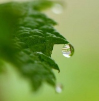 伴读 | 规矩（深度好文）