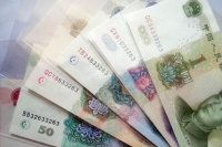 第五套人民币未来的币王 将会是谁？