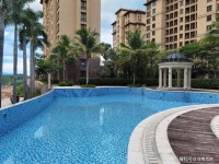 二十四节气里的生命之歌｜王松凡【荐读】