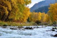 人到中年，文火慢熬｜阅读时光