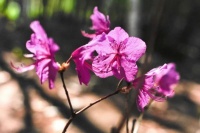 这样的朋友，你有吗？