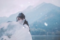 芙蓉如面柳如眉，对此如何不泪垂！