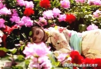 红楼梦：史湘云喝醉酒后，白天睡在石凳上，晚上睡在哪儿？