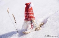 十一月再见十二月你好发朋友圈的句子 11月再见12月你好心情说说大全