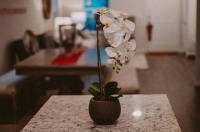 相处舒服，无言也暖（深度好文）