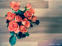 往后余生，希望你有良人相伴，这些唯美的文艺情话就送你了