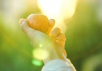 柳青云：天上人间团圆时｜河南青作协