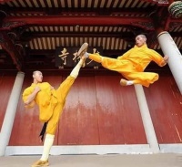 隐居嵩山的少林宗师，人称少林活拳谱，曾一度否认释永信不会武功