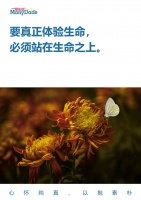 #一帮爸爸# #广东一帮爸爸# 体验生命