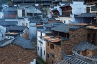 二傻被我打得遍体鳞伤，岂料多年后，他伸出了友谊之手，我傻眼了