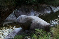 比兴造句和解释_比兴的例句有哪些