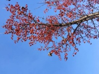 诗词和人生     一生一阕词