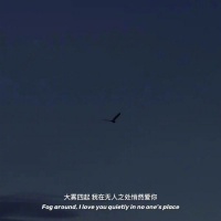 时间能够治愈的，都是愿意好起来的人