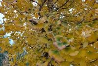 你说谁也无法对你判定人生结局