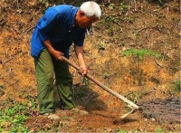 老农翻地挖出一块锈铁，一段关于500多箱黄金的往事，浮出水面