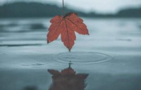 12月，让往事清零，让未来可期