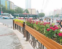 绿色植物外挂护栏花箱怎么样？
