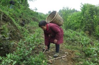 在中国，一个家族兴盛不衰，越过越好，往往都具有这些鲜明特征