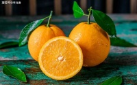 关于橙子优美的句子，描写橙子的唯美短句子