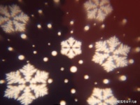 十二月， 愿你三冬暖，愿你春不寒， 身体健康才能收获工作和家庭的幸福。