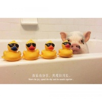 分享一句你最喜欢的文案