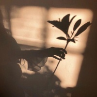 一看就想掉眼泪的文案