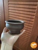 徐门达明紫砂花盆鉴赏