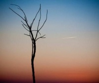 1999年，赵丽蓉为自己选好寿衣和遗照，乞求安乐死却遭家人拒绝