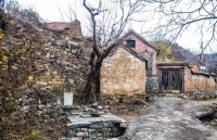 俗语：“钓鱼穷三年，玩鸟毁一生”，啥意思？古人的忠告！