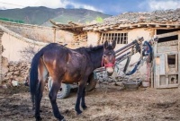 俗语“三十发福，棺材当屋”，老祖宗3句至理名言，句句受用！