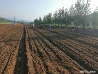 走近自强不息的郑老师（散文）