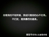 有一种温柔，叫不打扰