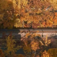 2020年最后一个月：我放过了所有的而遗憾